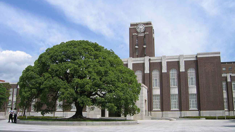 京都大学插图1