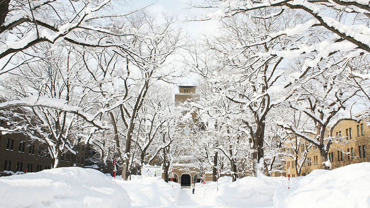 北海道大学插图1