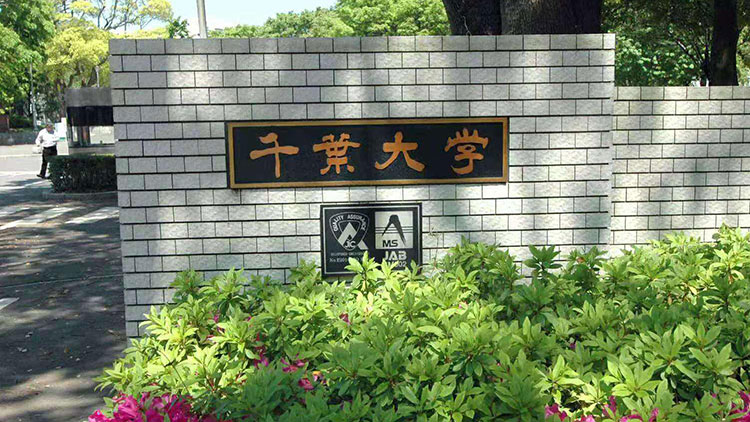 千叶大学插图1